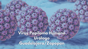 VPH Guadalajara Zapopan